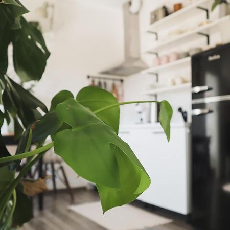 Urban Jungle Apartment - Free Parking Ljubljana Eksteriør billede