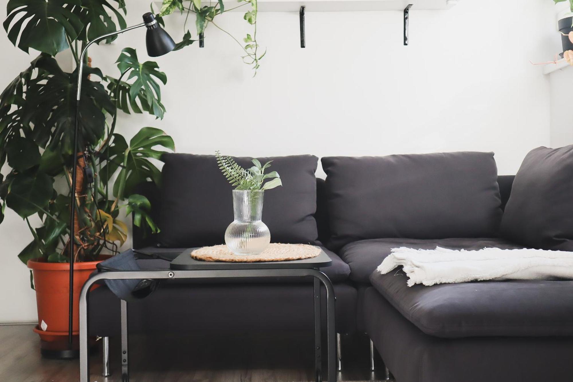 Urban Jungle Apartment - Free Parking Ljubljana Eksteriør billede