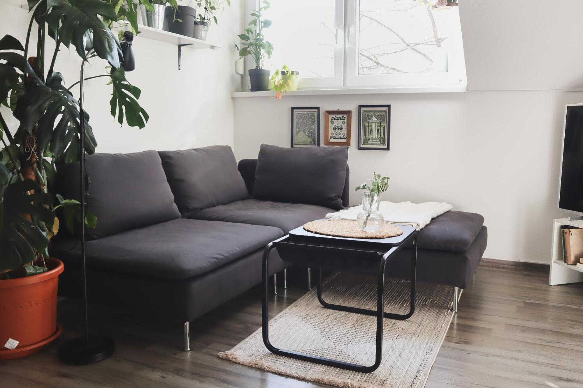 Urban Jungle Apartment - Free Parking Ljubljana Eksteriør billede
