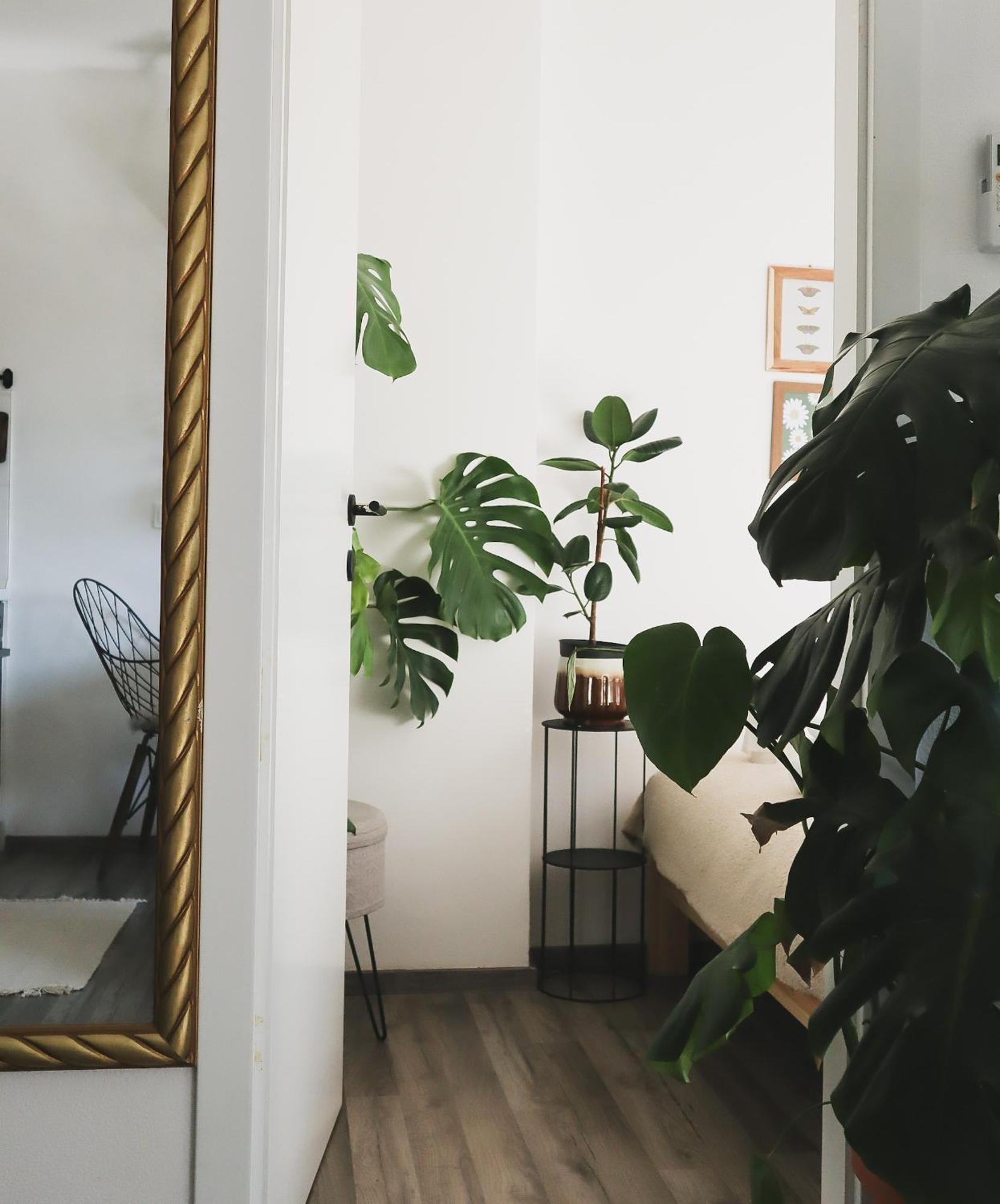 Urban Jungle Apartment - Free Parking Ljubljana Eksteriør billede