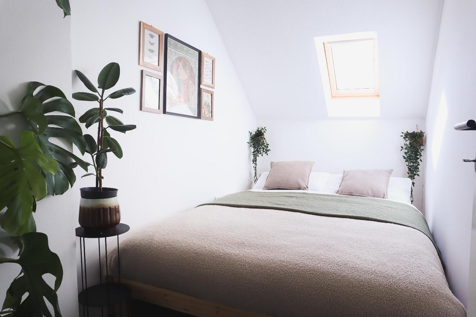 Urban Jungle Apartment - Free Parking Ljubljana Eksteriør billede